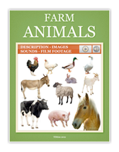 Farm Animals