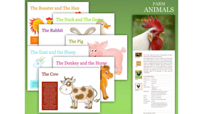 Farm Animals